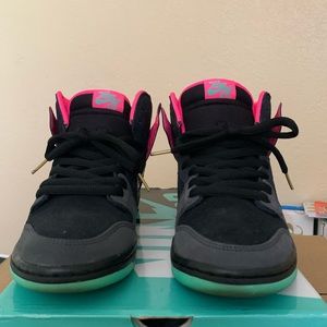 Nike SB Northern Lights